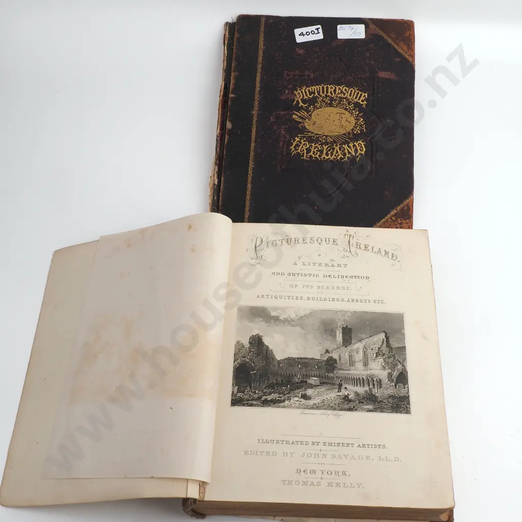 John Savage - 'Picturesque Ireland' Image 1++