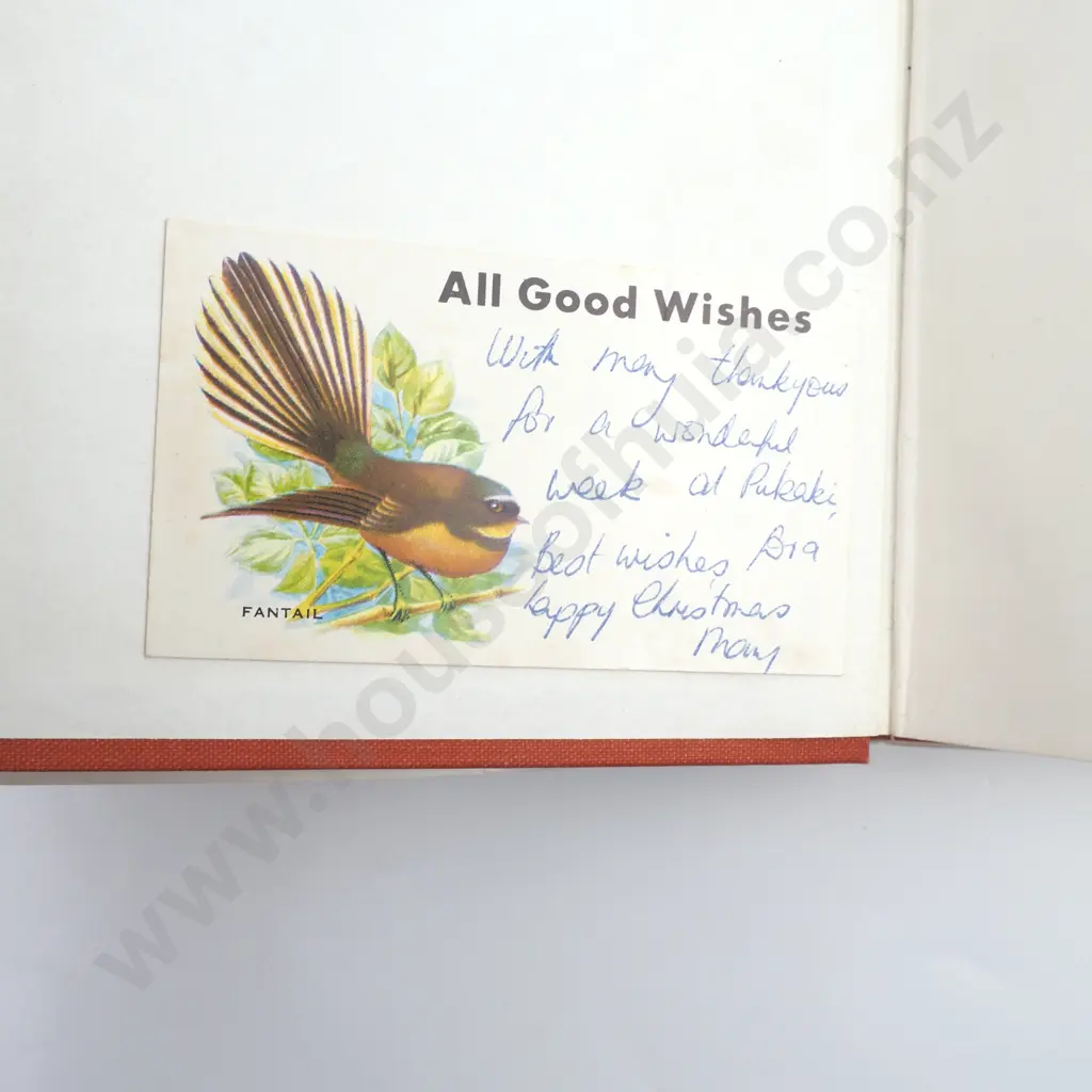 Wilson, Jim; Aorangi Image 1++