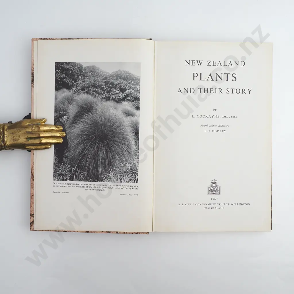 L.Cockayne - 'New Zealand Plants and Their Story'. Image 1++