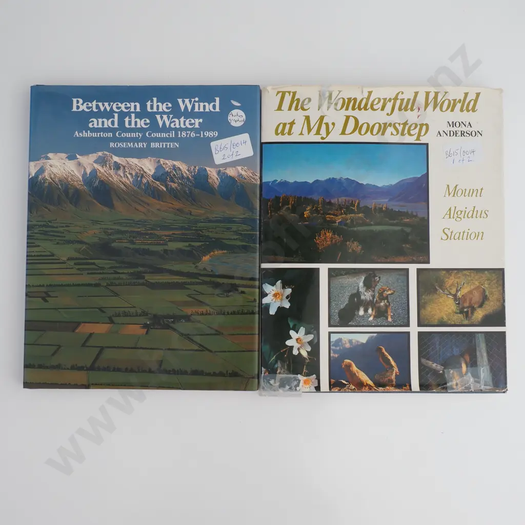 Anderson, Mona; The Wonderful World at My Doorstep plus one other Image 1++