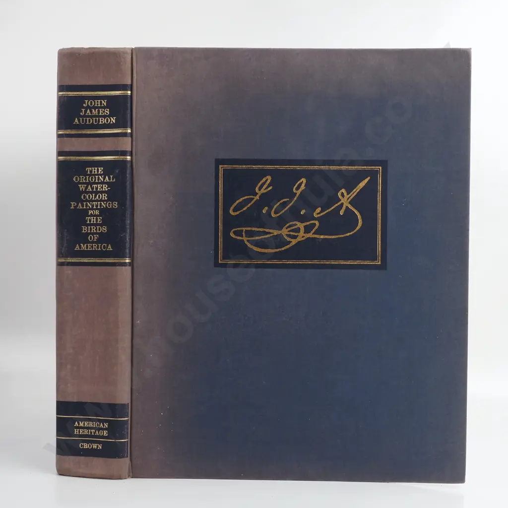 John James Audubon,  Water-color Paintings  for the Birds of America Vol 1 Image 1++