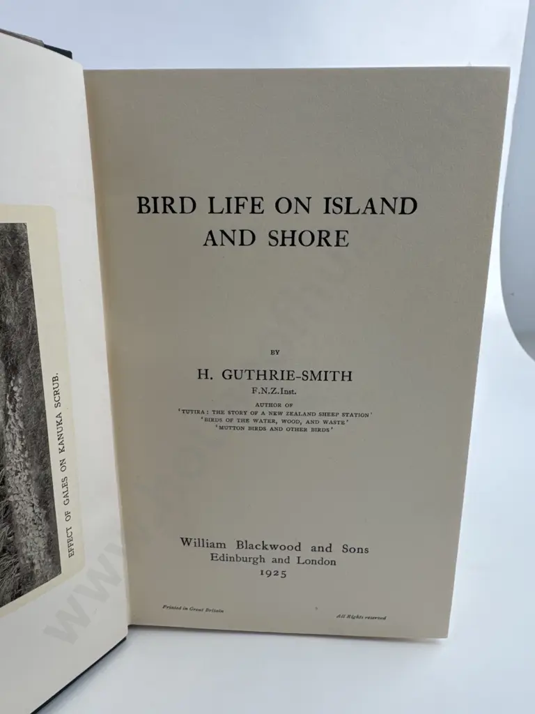 H Guthrie Smith, Bird Life on Island and Shore, William Blackwood and Sons, Edinburgh, 1925. Image 1++