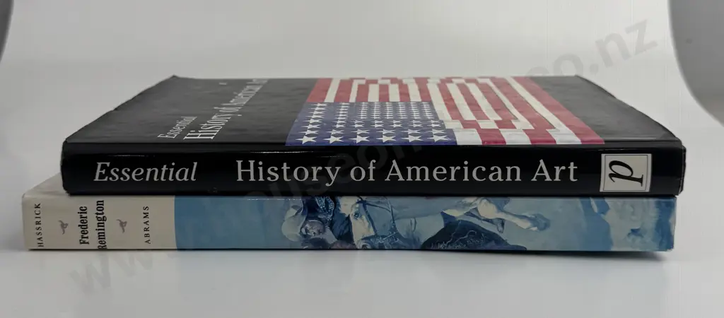 2 Books on American Art Image 1++