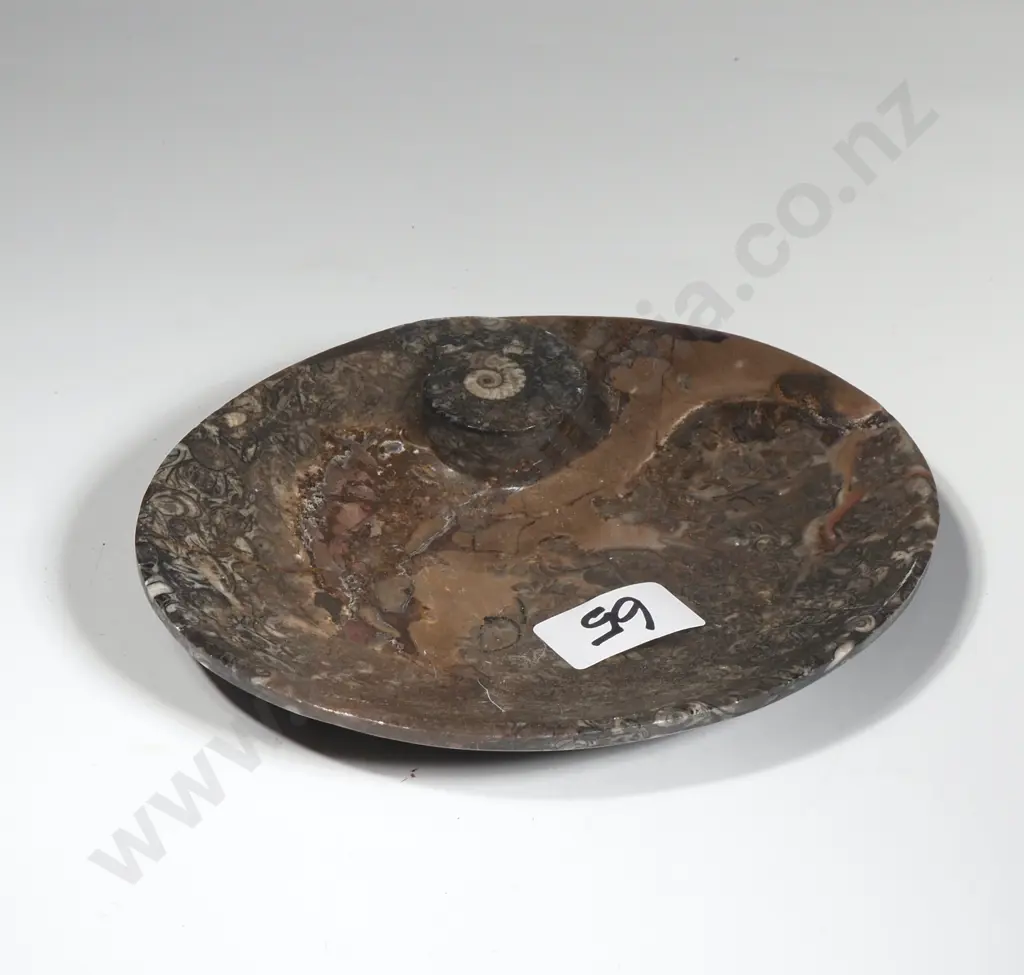 Black Orthoceras Fossil Carved Dish Image 1++