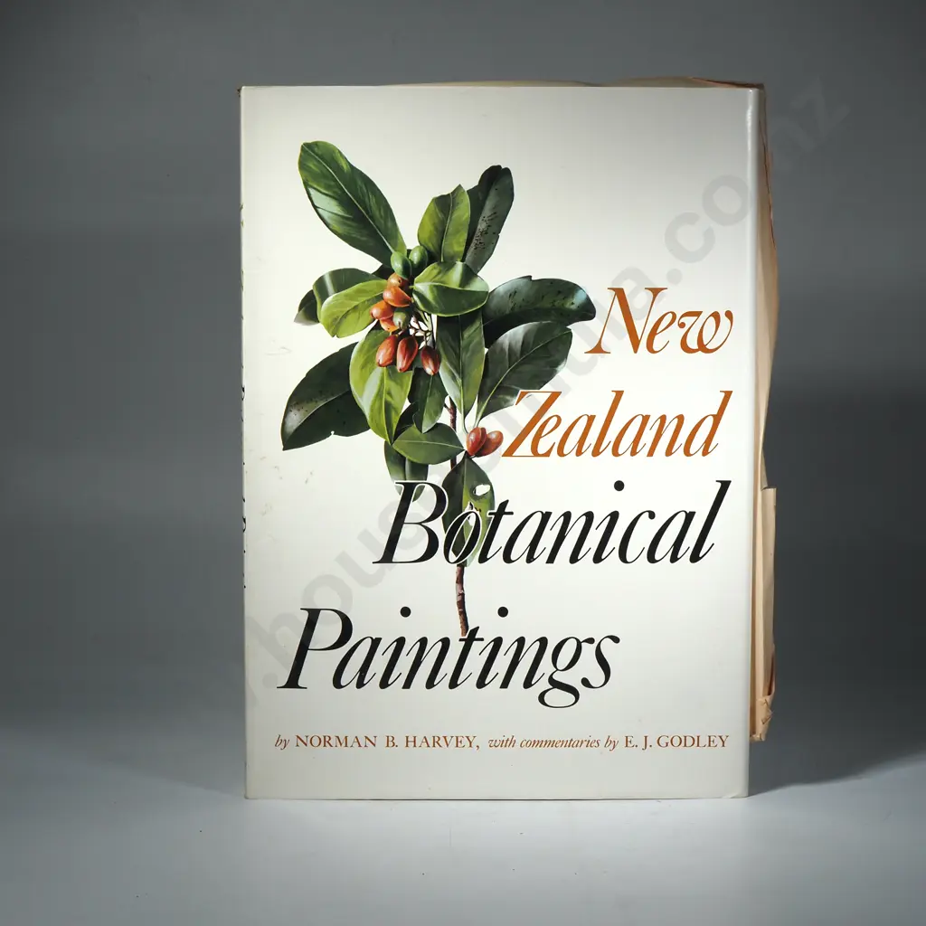 Norman B. Harvey - New Zealand Botanical Paintings Image 1++