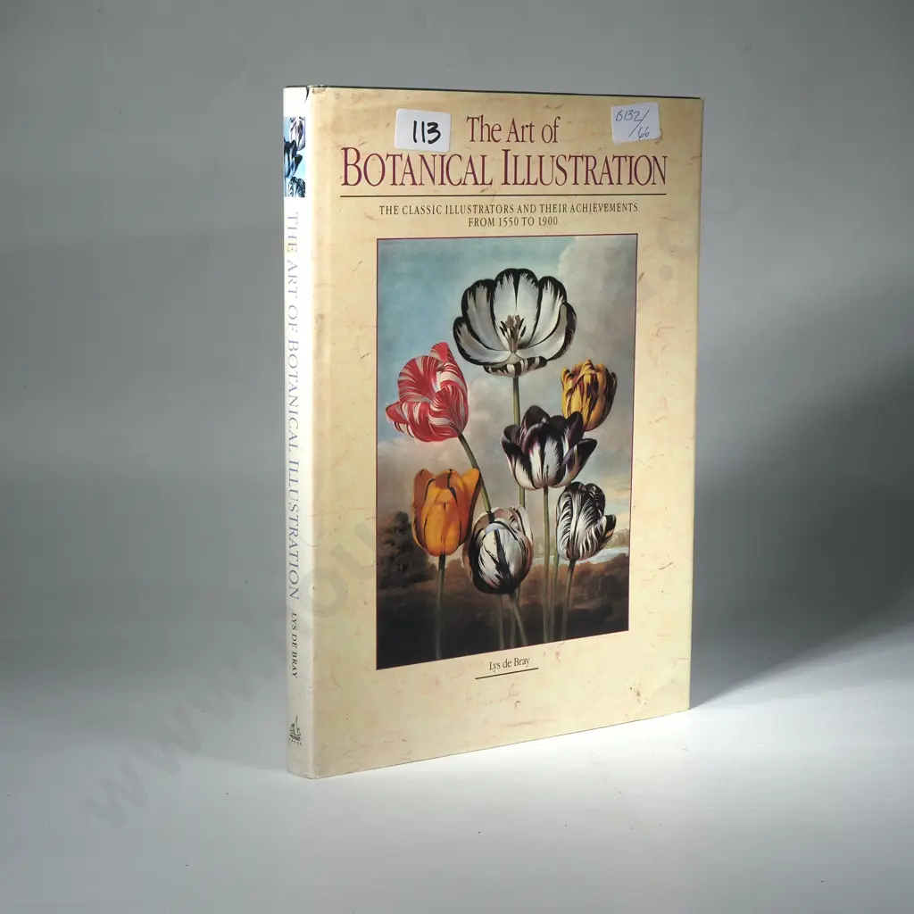 Lys de Bray - The Art of Botanical Illustration Image 1++