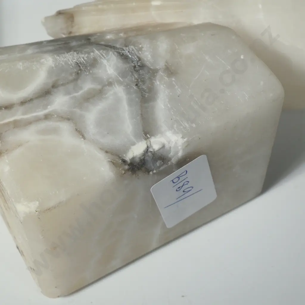 Vintage Pair of White Alabaster Cockatoo Bookends Image 1++
