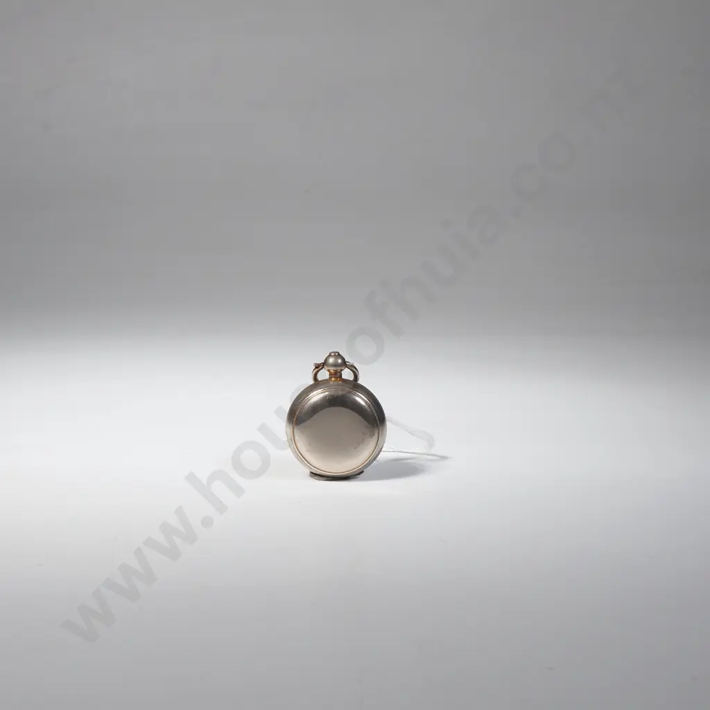 Silver Plated Sovereign Case Image 1++