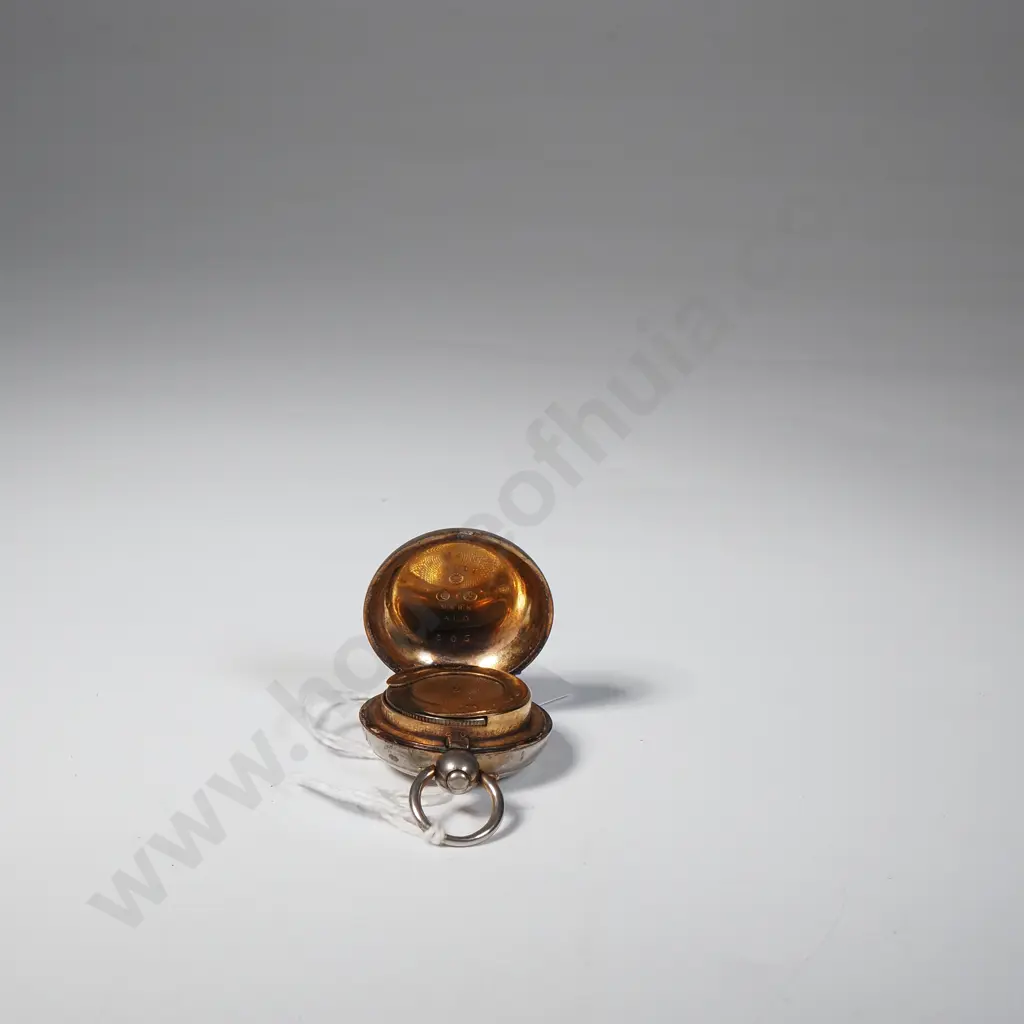 Silver Plated Sovereign Case Image 1++