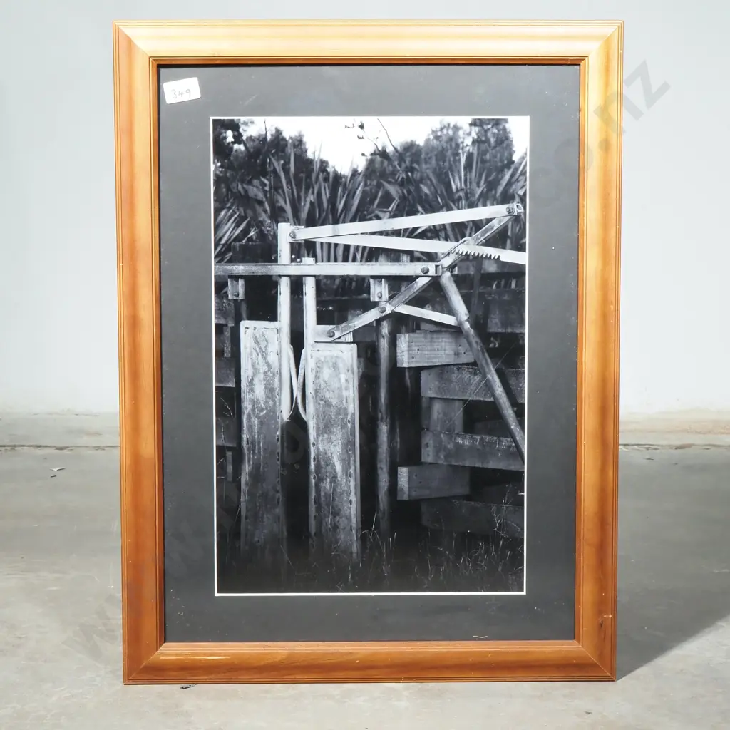 JSZ - The Knackers Yard - Stockyard at Travis Wetland - Framed Photograph Image 1++