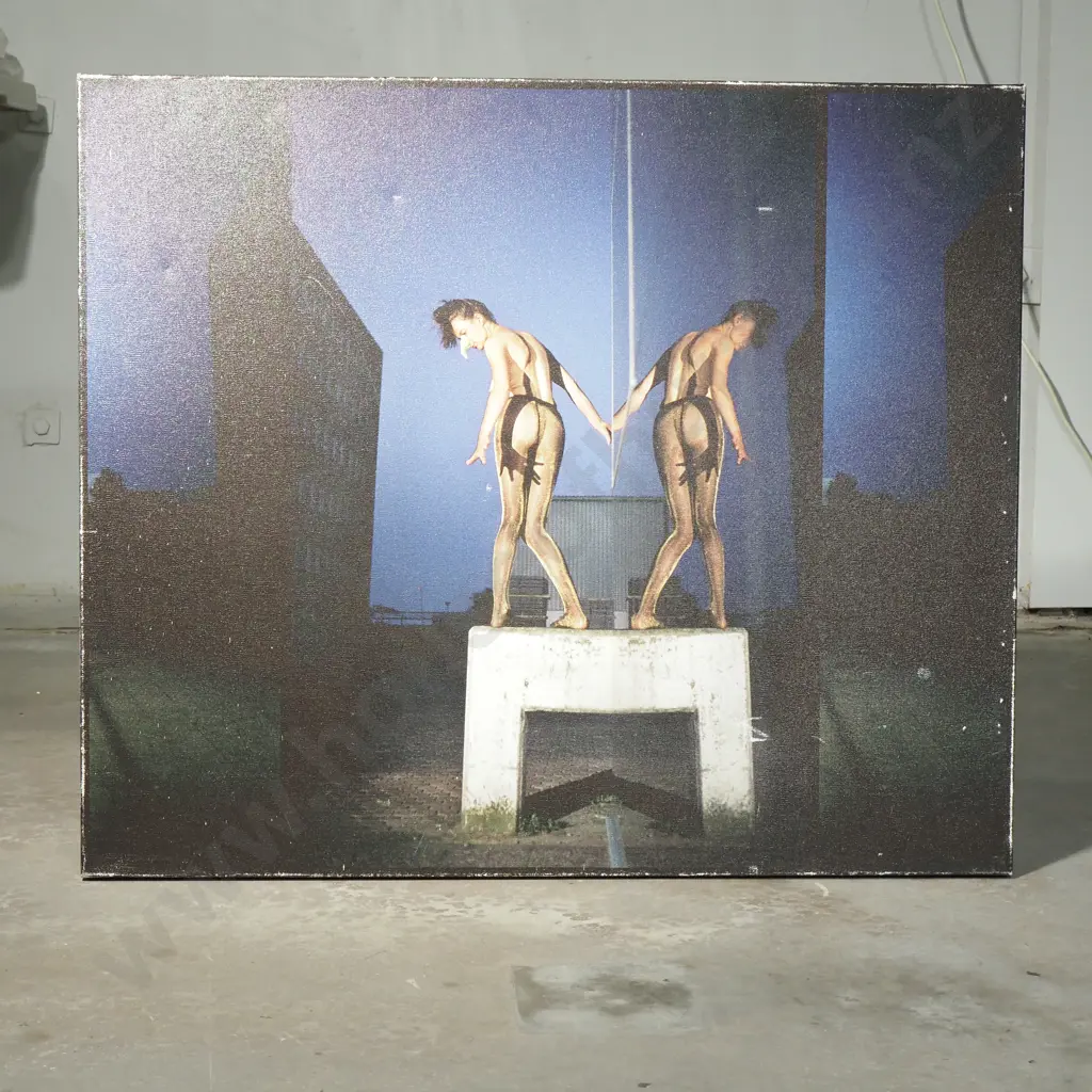 Inez Grim - Portrait of Self No 3, Photographic Montage Image 1++