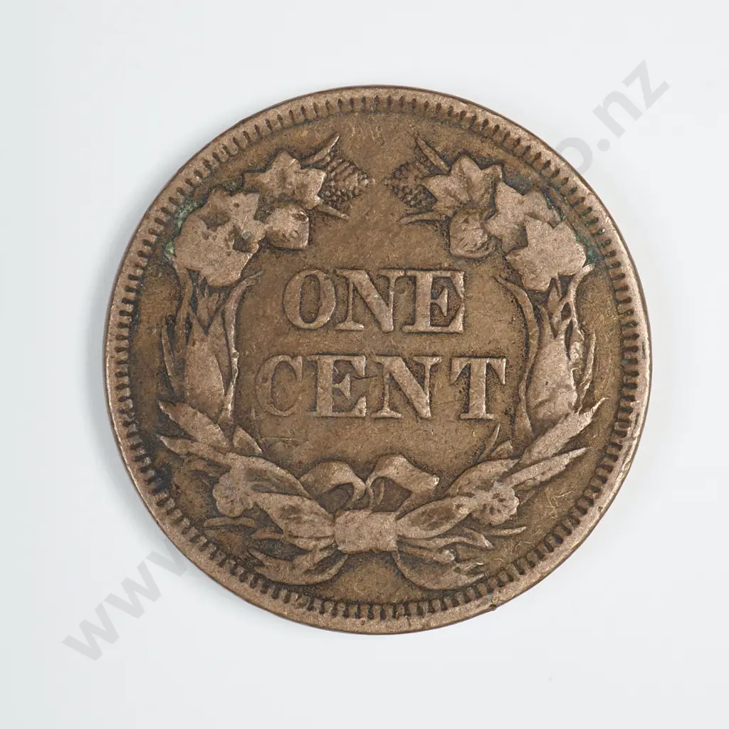 1857 Flying Eagle Cent Image 1++