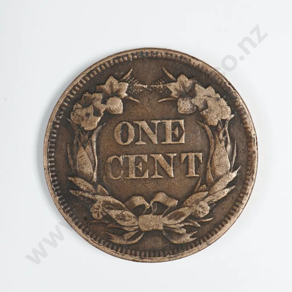 1858 Flying Eagle Cent - Large Letters Image 1++