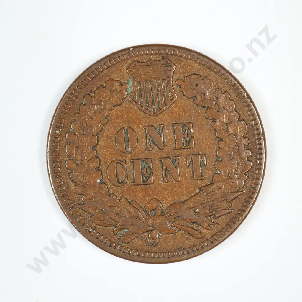 1893 Indian Head Cent Image 1++