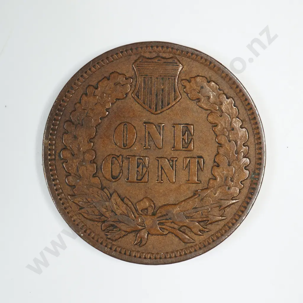 1899 Indian Head Cent Image 1++