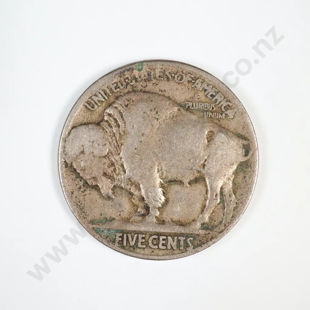 1913 Buffalo Nickel - Line Image 1++