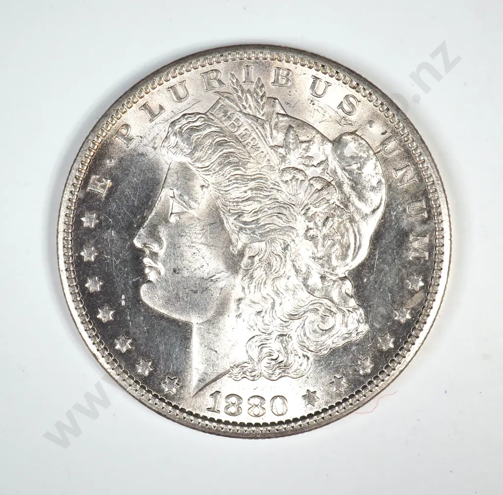 1880 S Morgan Dollar Image 1++