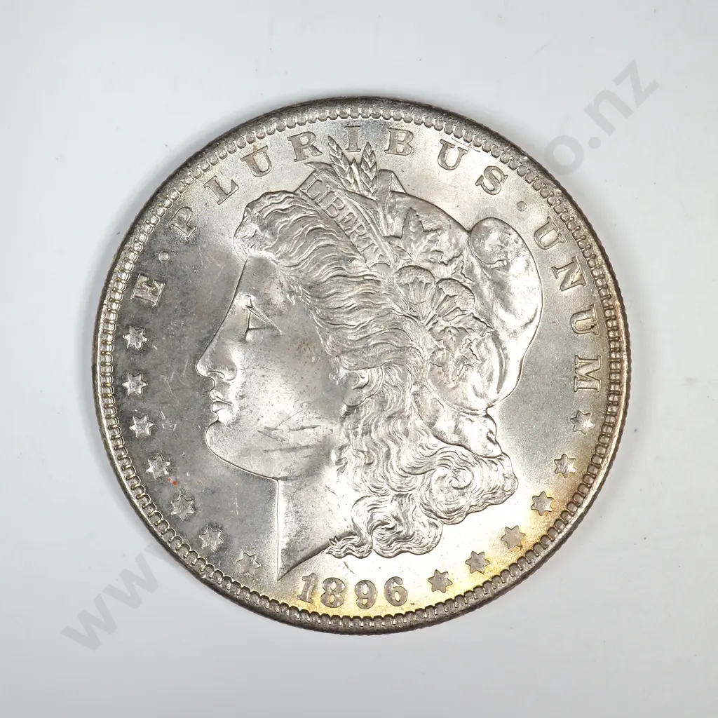1896 Morgan Dollar Image 1++
