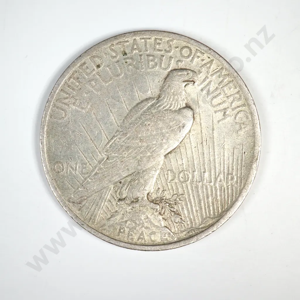 1923 Peace Dollar Image 1++