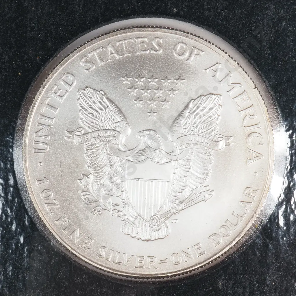 1996 Uncirculated Silver Dollar Image 1++