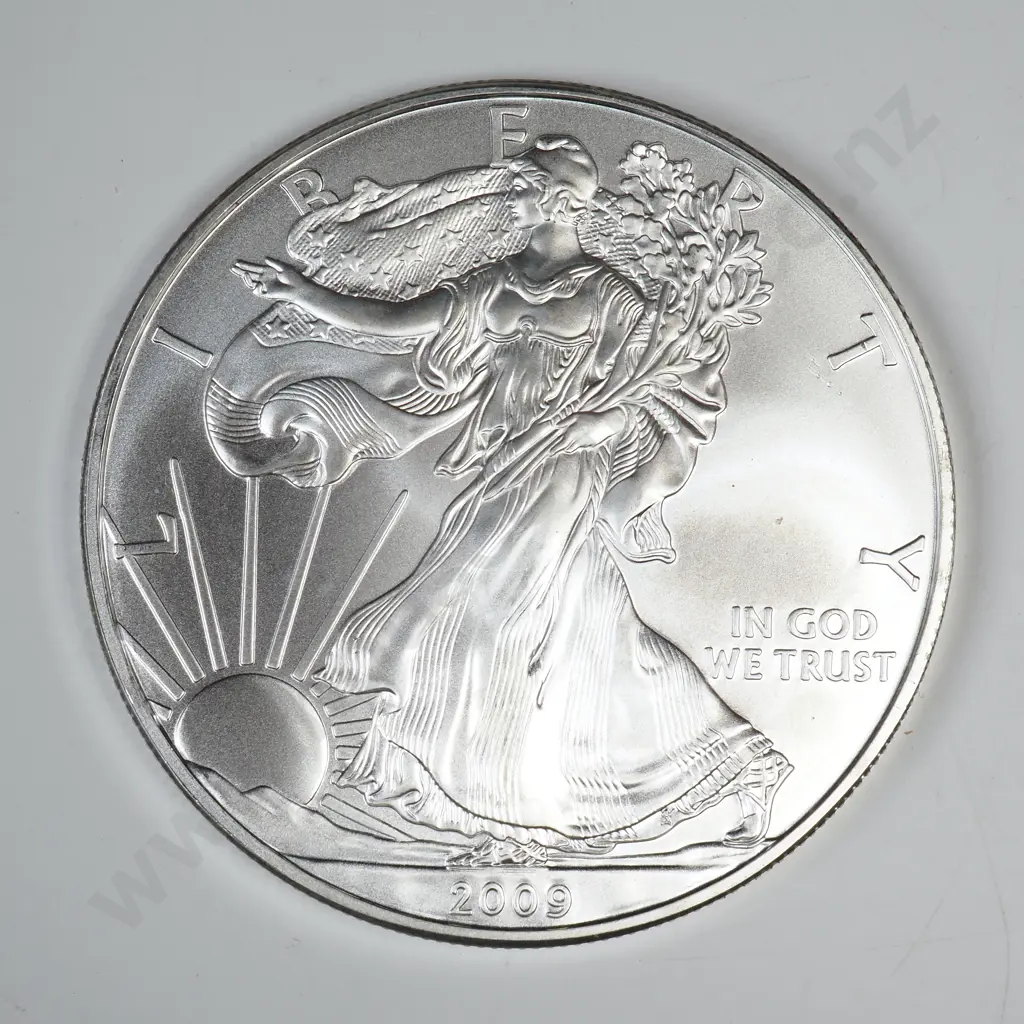 2009 Uncirculated Silver Dollar Image 1++