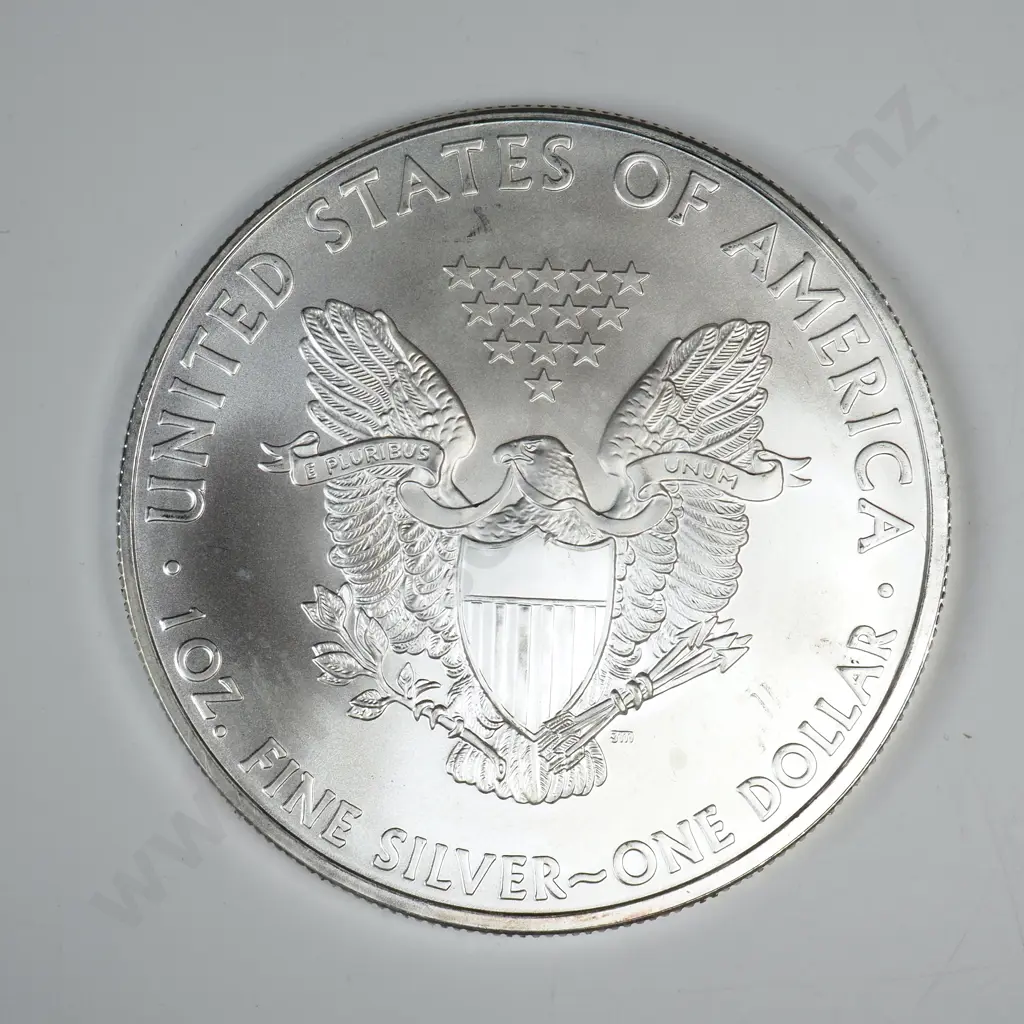 2009 Uncirculated Silver Dollar Image 1++