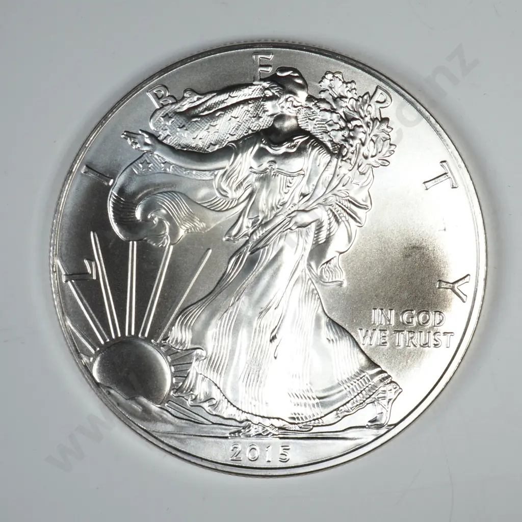 2015 Uncirculated Silver Dollar Image 1++