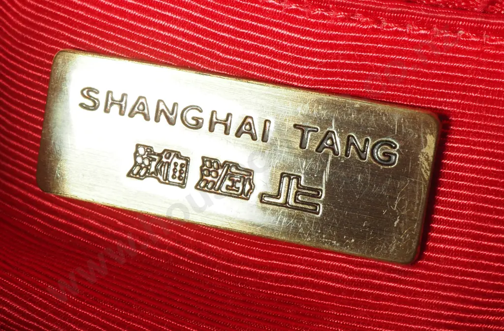 Vintage Shanghai Tang Handbag w Tassel Detail w Central Panel of Leather Flanked by Patterned Velvet Image 1++