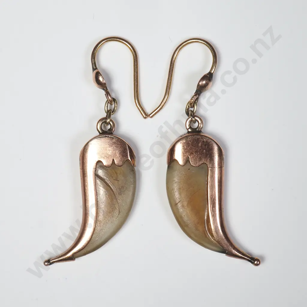 Antique 9ct Gold Mounted Tiger Claw Earrings Image 1++