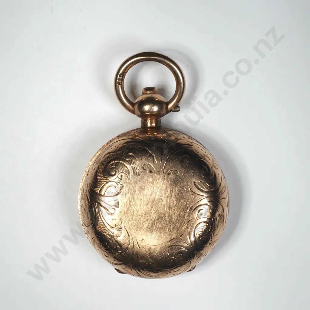 Rolled Gold Sovereign Case  A/F Image 1++