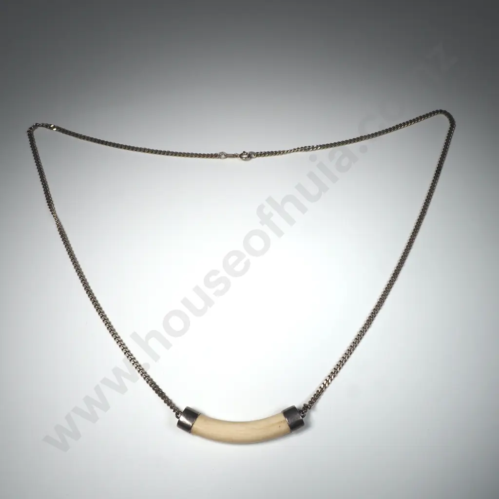 Silver & Bone Necklace Image 1++