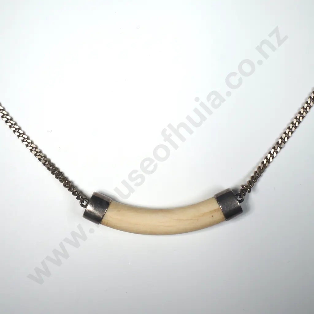 Silver & Bone Necklace Image 1++