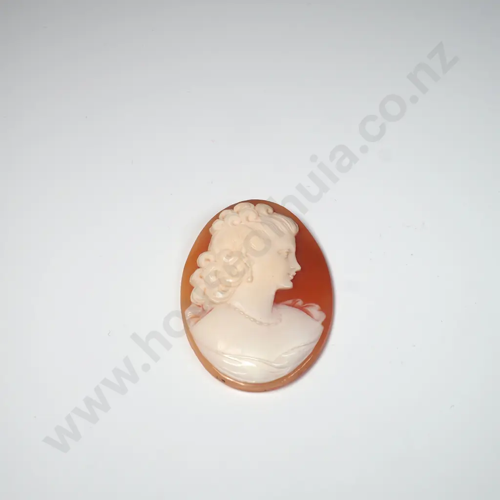 Well Carved Cameo Image 1++