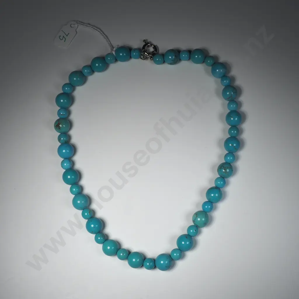 Turquoise Necklace Image 1++