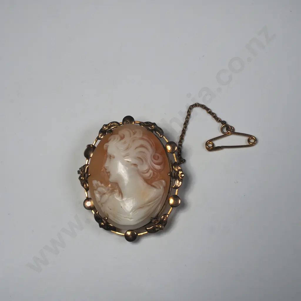 9ct Gold Lined Cameo Brooch Image 1++