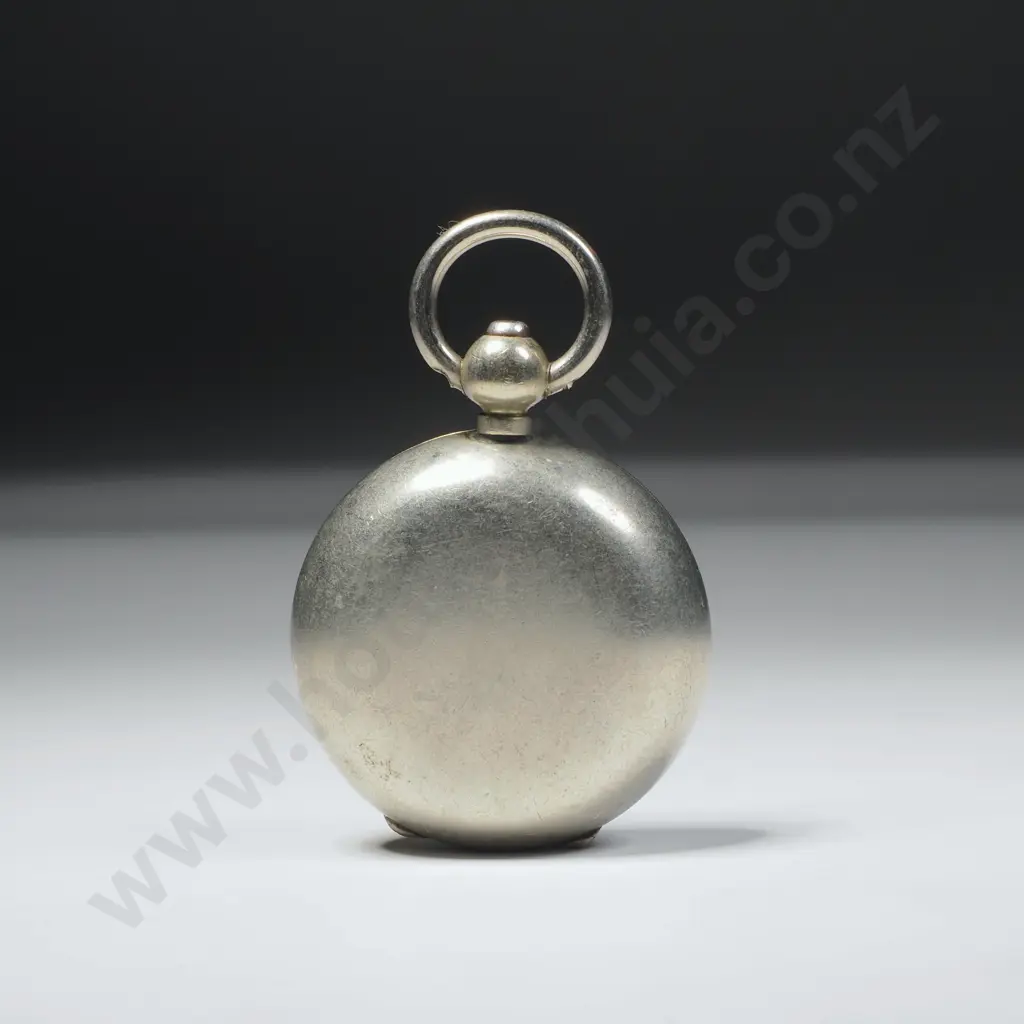 Nickel Sovereign Case Image 1++