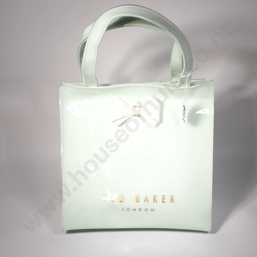 Ted Baker Alacon Plain Bow Icon Bag in Mint Green Image 1++
