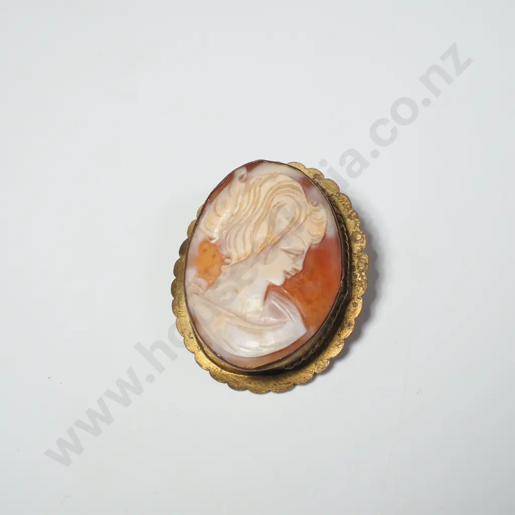 Vintage Cameo Brooch Image 1++