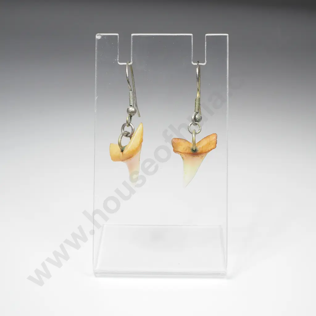 Vintage Sharks Tooth Earrings Image 1++