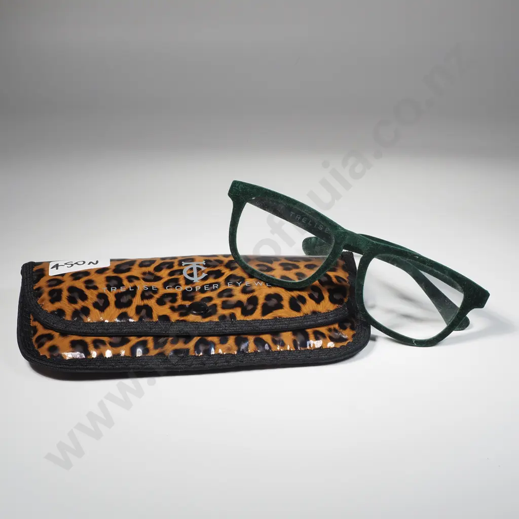 Trelise Cooper Green Flocked Velver Reading Glasses in Case Image 1++