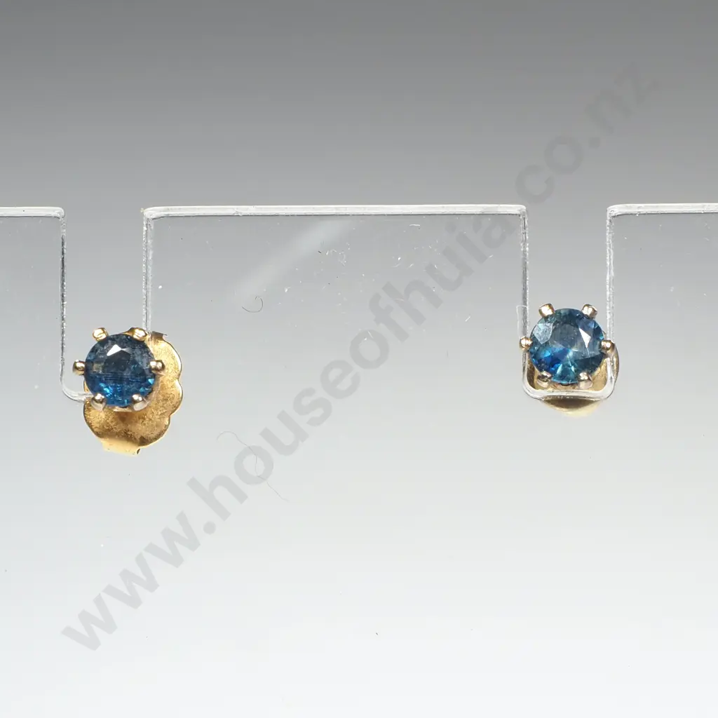 Pair of Earrings Image 1++