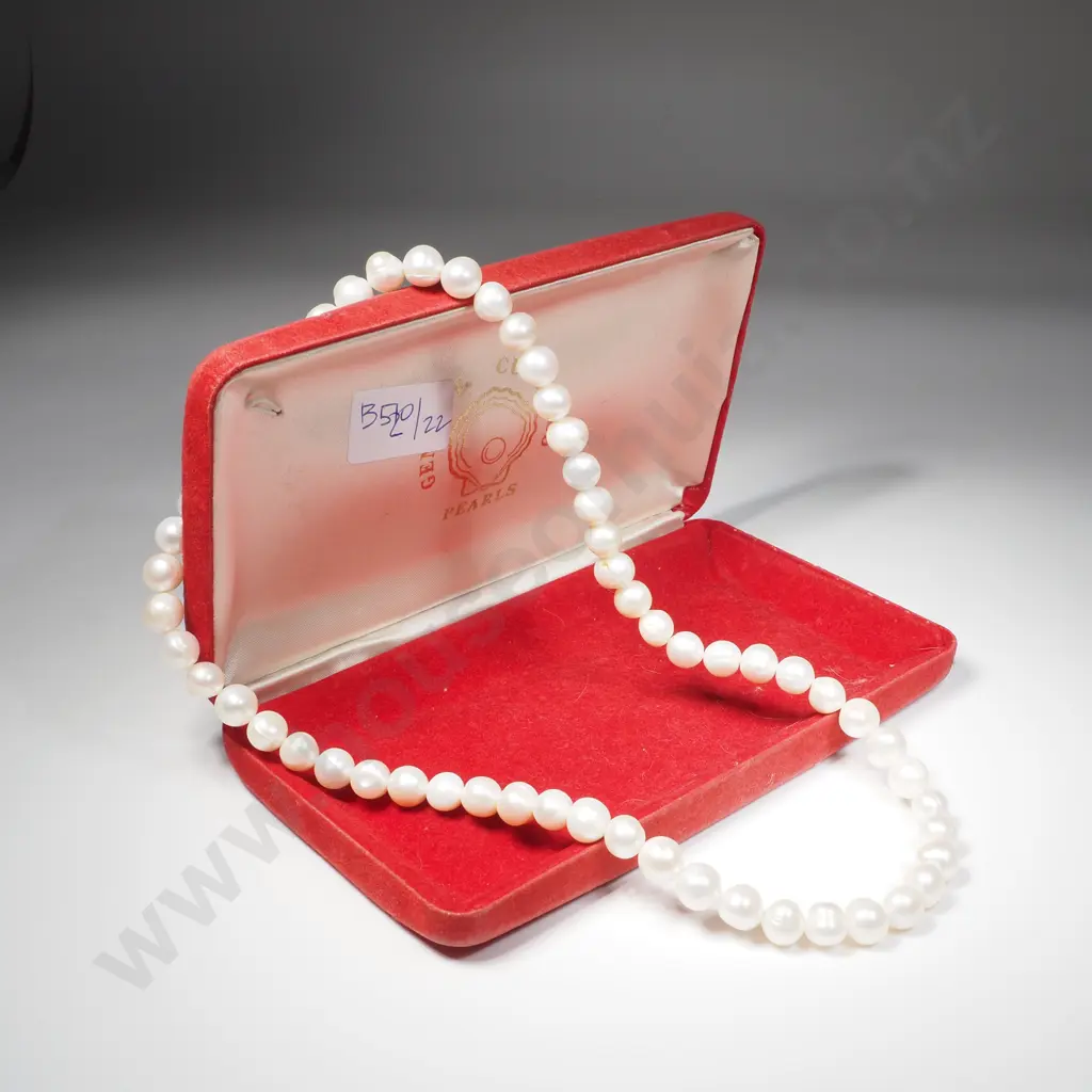 Pearl Necklace Image 1++