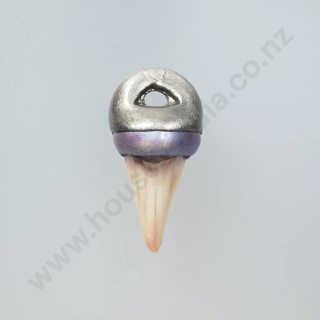 Interesting Sharks Tooth Pendant Image 1++