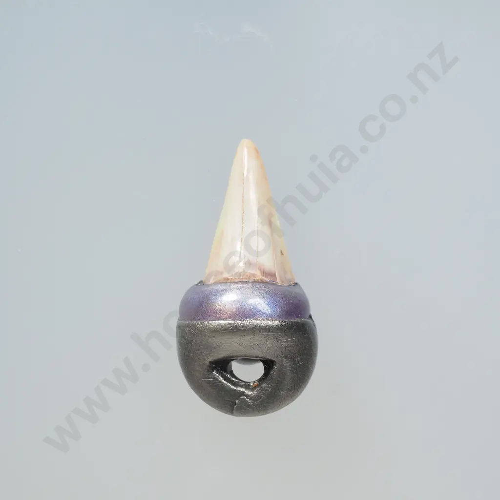 Interesting Sharks Tooth Pendant Image 1++