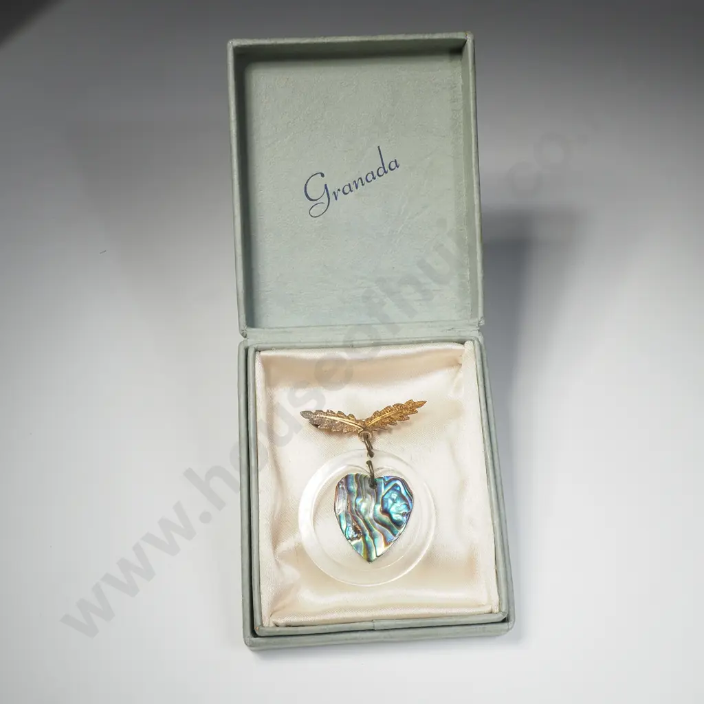 Kiwiana Brooch in box Image 1++