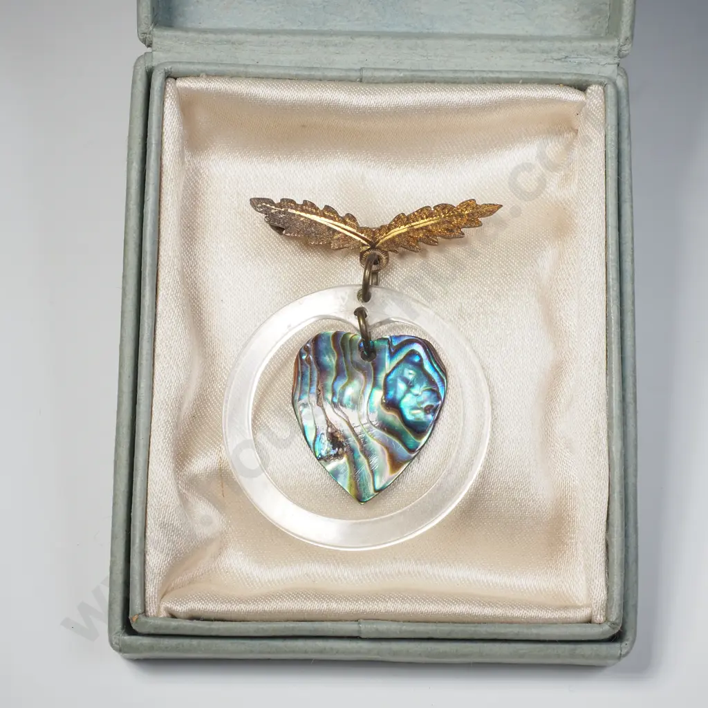 Kiwiana Brooch in box Image 1++