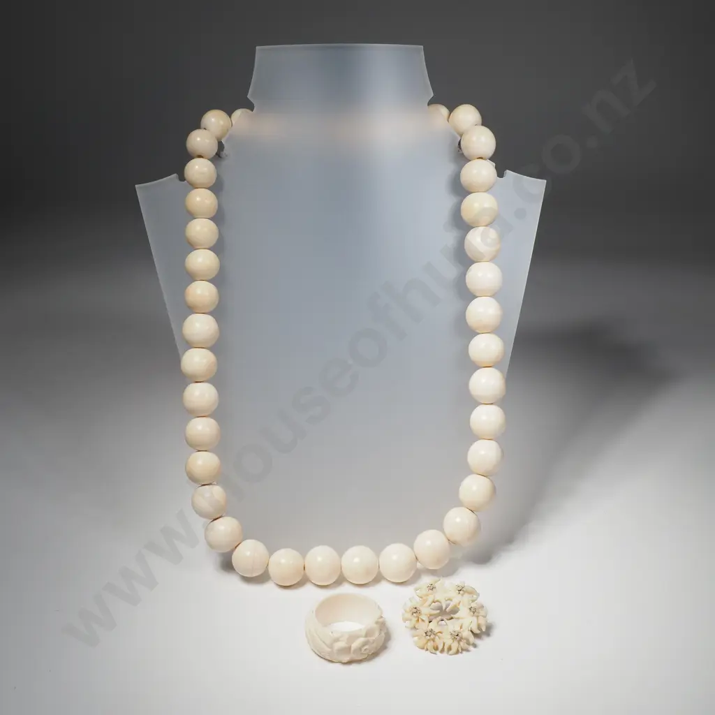 Ivory Necklace & Bone Ring / Brooch Image 1++