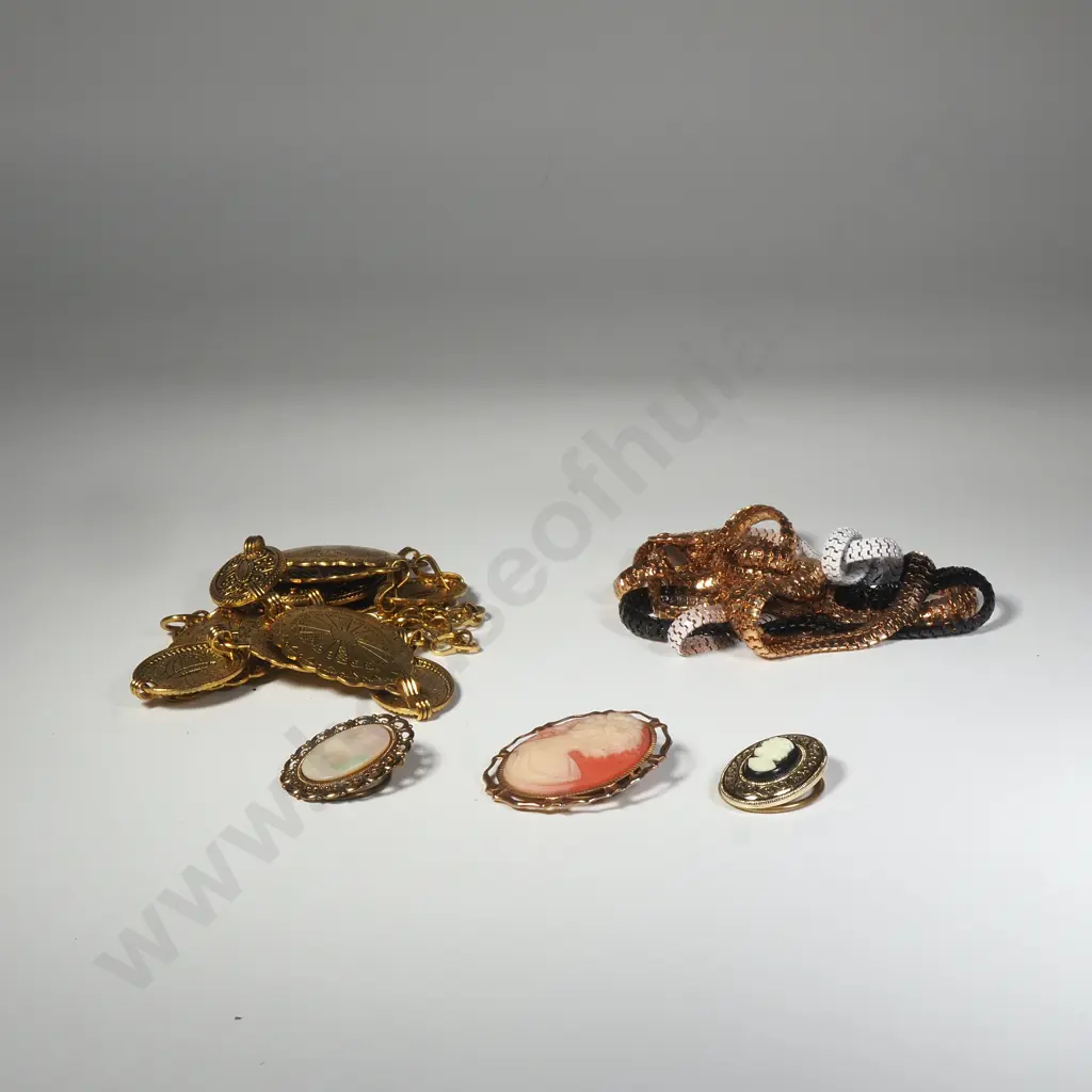 Bag of Costume Jewellery including Faux Cameos, Belt & Snake Necklace Image 1++