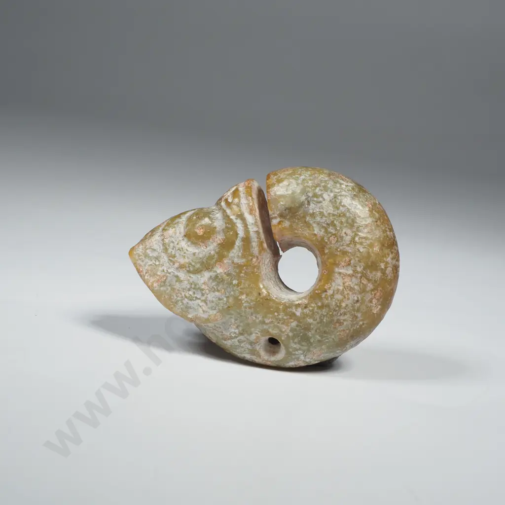 Hongshan  Style Jade Pig- Dragon Pendant or Amulet w Coiled Creature Like Body & a Stylised Head Image 1++