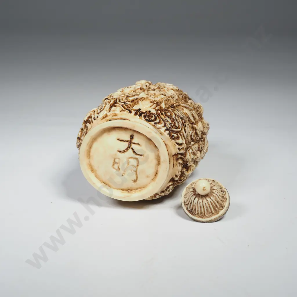 Chinese Carved Resin Snuff Bottle Image 1++